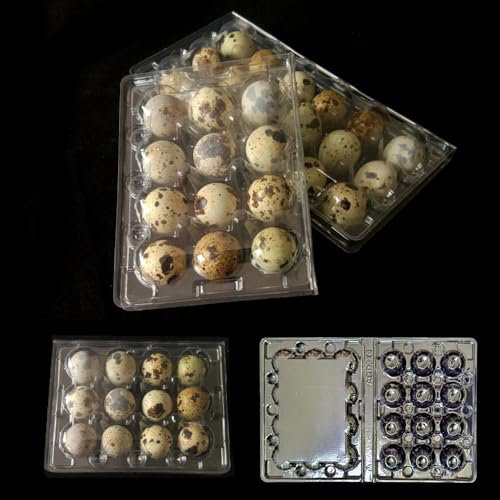ZOESURE 60 Stück Wachteleierschachteln, 12 Gitter Wachtelei-Schachteln, Eierkarton mit Deckel, PVC Eier Aufbewahrungsbox, Transparente Wachteleierschachteln für Wachteleier
