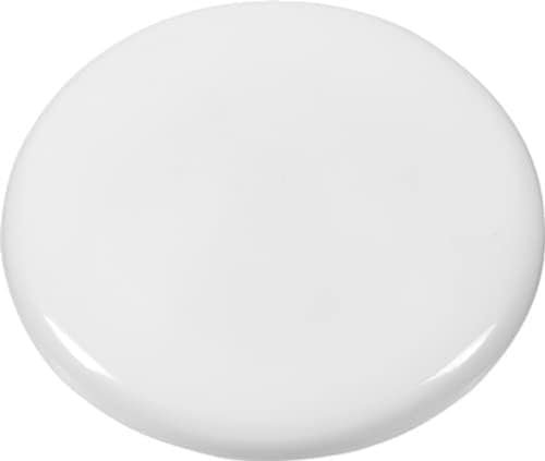 Westcott E-10824 00 Lot de 10 aimants ronds Blanc 40 mm