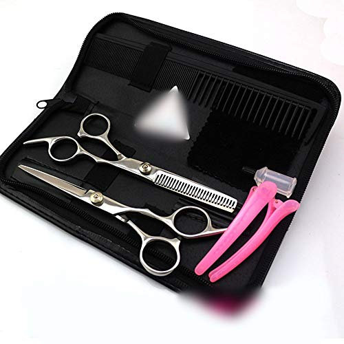 Minicocock 6.0 Pollici Forbici Professionali Parrucchiere, Flat + Tooth Forbici Famiglia Parrucchiere Set (Color : Silver)