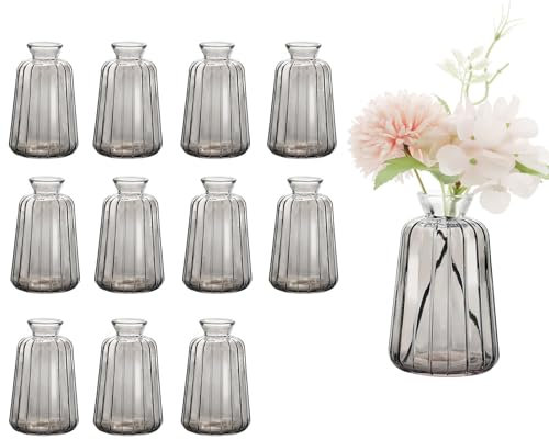 Avmvnvc Kleine Glasvasen - 12er Set Kleine Vasen für Tischdeko Hochzeit - Vintage Stil Deko Vasen Set - Mini Glasvasen für Tischdeko, Grau