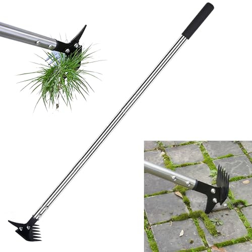 BARAYSTUS Weed Puller 61 Adjustable Long Handle, 2-in-1 Weed Rake & Crack Weeder with Detachable Head, Stainless Steel Weeding Tool for Lawn, Yard, Garden & Sidewalk Cracks, Weed Remover