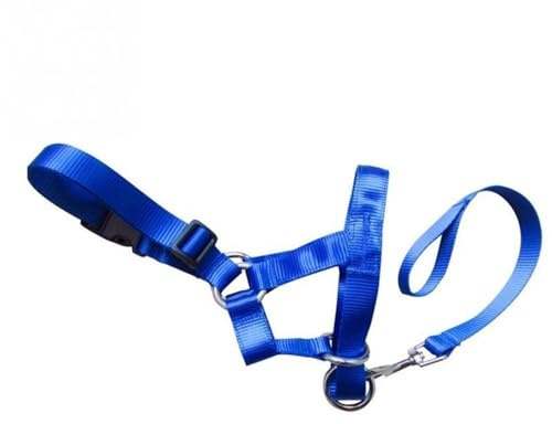 Dog Anti Bark Bite Head Leash Nylon Training Halter Collar No Pull Safe Mouth Harness Stops Pulling (Color : Blue, Size : XL)