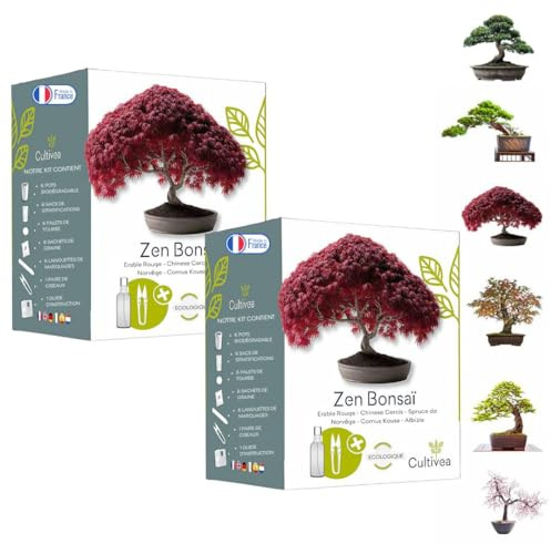 CULTIVEA lot de 2 Kit Prêt à Pousser Bonsaï – Graines Françaises 100% Écologiques - Jardinez & décorez - Idée Cadeau (Red Mapple, Chinese Cercis, Juniperus,Liquidambar, Norway Spruce) - Made in France
