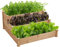 Yaheetech stapelbares Hochbeet 3 Etagen Blumentreppe Stufenbeet Garten Beete Pflanzenbeet Holz Frühbeet für Gemüse, Kräuter, Blumen, 3-stufig, Hellbraun