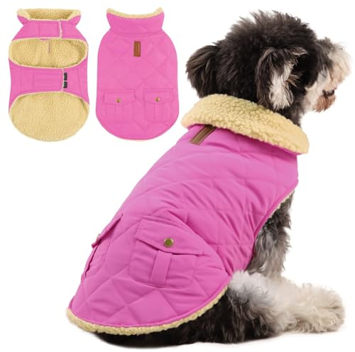 Queenmore Abrigo Perro Grande Impermeable Caliente para Invierno - Teckel, Bulldog Francés, Galgo, Beagle, Rosa, L