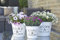 Wunderschönes Zink Pflanzgefäß/Pflanztopf - Home & Garden - Indoor & Outdoor - Frostfest - Weißer Zinktopf/Zinkgefäß/Blumentopf/Tischdeko (Medium - Höhe: 20cm)