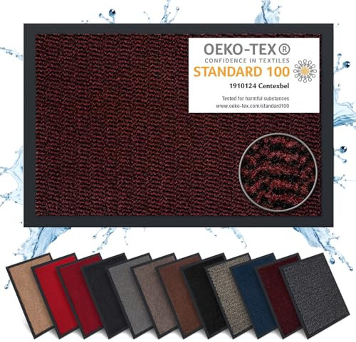 Carpet Diem Fußmatte, einfach sauber I Schmutzfangmatte Eingangsbereich - Fussmatte Innen & Außen, rutschfeste Türmatte, Schmutzfang Teppich für Haustür I Fußabtreter in Rot-Schwarz 40x60 cm