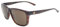 ALPINA Unisex RAYONNE Sunglasses, Havana Gloss, One Size