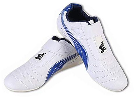 fayengan Zapatos De Taekwondo, Unisex Taekwondo Boxeo Kung Fu Tai Chi Deporte Zapatos De Gimnasia para Niños Adultos (Color : Blue, Size : 35 EU)
