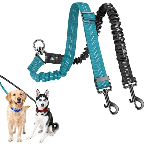 Laisse Double pour 2 Chiens Elastique, 1 pièce Laisse Double pour 2 Chiens à 360°, Lais se Do uble pour 2 Chie ns Petit, Lais se Doub e pour 2 Chie ns, D ouble Lai sse pour 2 Chien s, Noir + Bleu lac.