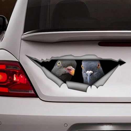Madcolitote Autocollant 3D en vinyle pour voiture, motif pigeon, oiseau, pour fenêtre, pare-chocs, ordinateur portable, cadeau pour animal domestique, 25,4 cm