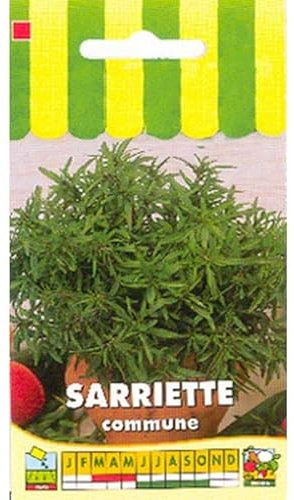 Sachet de graines de Sarriette Commune - 0,5 g - légume feuille - LES GRAINES BOCQUET
