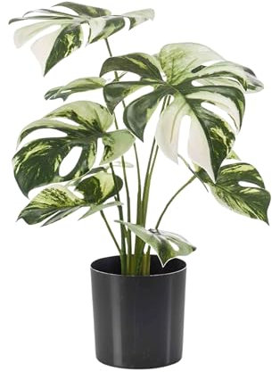Blooming Artificial - Artificial Plant Indoors in Pot, Monstera Albo, Year Round Decorative Foliage for the House and Office, Trendy and Tropical (Variegated) (40cm)