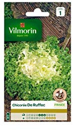 Vilmorin - Sachet graines Chicorée frisée de Ruffec