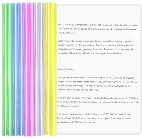 Zimoer 10 Pièces A4 Dossier Coulissante, Chemise de Couvertures de Rapport avec Barre Coulissantes Plastique Dossier de Fichiers A4 Reliure Présentation Dossier Transparent pour École Bureau Documents