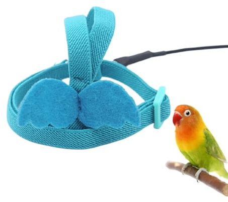 QEXUJOW Oiseaux,Un harnais réglable pour perroquet, une laisse/corde d'entraînement extérieure pour perruches calopsittes et aras, avec une conception élastique et résistante aux morsures.