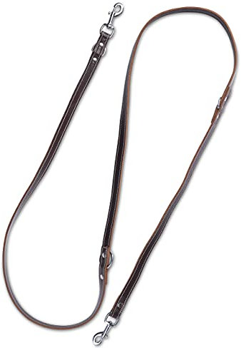 Hundeleine aus Leder - mehrfach verstellbare Führleine 2,40m - Hunde Lederleine extrem Stabil mit Edelstahl-Karabiner - Echt-Leder Leine Sammy (Dunkelbraun)