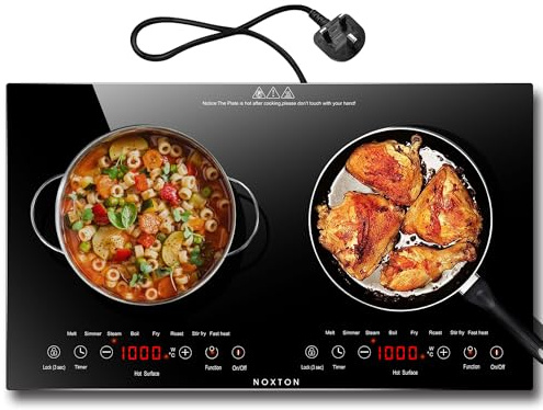 Noxton Double Ceramic Hob, Double Electric Hob Portable 30cm with 4-Hour Timer, 9 Power up to 2800W, Safety Lock, for All Type Pot