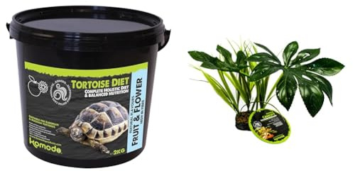 Komodo Tortoise Nutrition & Habitat Decor Bundle – Complete Holistic Tortoise Diet Fruit & Flower 2kg Tub + Jungle Canopy Artificial Plant for Terrariums & Vivariums