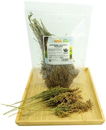 Getzoo Rispenhirse rot - getrocknet (Bund)