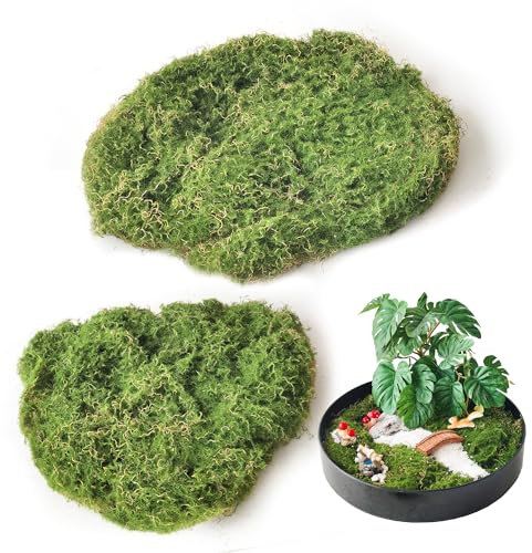 ROLLWAY 2 PCS Künstliches Moos zum Basteln Deko Plattenmoos 17~22cm, Kunst Moos Kunstmoos Zum Dekorieren Kunstmoos Fake Dekomoos Bastelmoos Moos-Matten für Wand Krippe Aquarium Krippe Modellbau