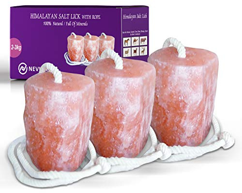 Nevlers 3 Pack All Natural Pure Himalayan Salt Licks for Animals - 4.5-6.5 lbs Each - Ropes Included - Great for Horses, Cows, Deer, Camel and Other Livestock