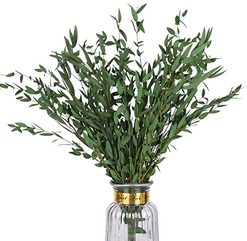 HIAGROW Real Eucalyptus Stems Greenery Decor 20PCS 17 Dried Willow Eucalyptus Plant Preserved Greenery Stems for Home Vase Filler Wedding Flowers Arrangement Spring Mother's Day Decorations