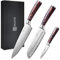 PAUDIN Chef Knife Set 3Pcs, Professional Kitchen Knife Set with High Carbon Stainless Steel, Sharp Chef Knives with 8 inche Chefs Knife, 7 inch Santoku Knifes and 3.5 inch Fruit Knife