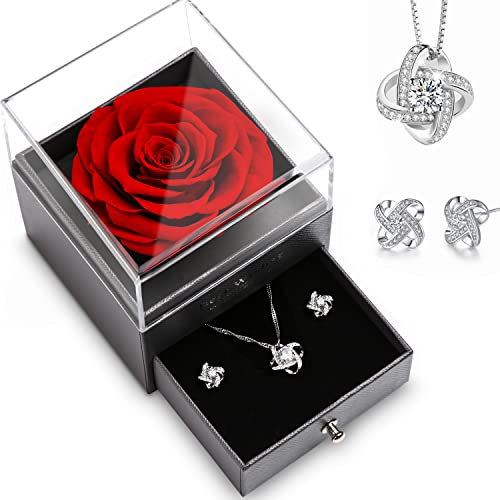 Elekin Rose eternelle sous Cloche, Boite Cadeau avec Fleurs artificielles avec Boucles d'oreilles et Collier, Convient pour Le Cadeau Anniversaire Femme 、Cadeau Maman、Cadeau de Vacances