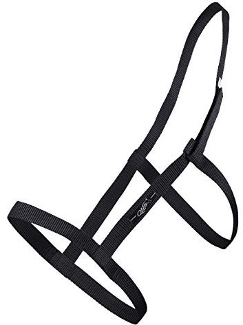 QHP Weidehalfter Halfter mit Klettverschluss schwarz (Warmblut)