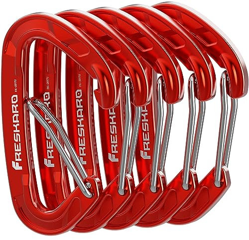 FresKaro Karabiner Haken-Karabinerhaken, Robust, Klein, Stabil, Schlüsselanhänger, Zubehör, Federschnapper, 8kN 816kg, für Wandern, Camping, Angeln, Nicht zum Klettern, Schlüssel Mini-Größe, 5Stück