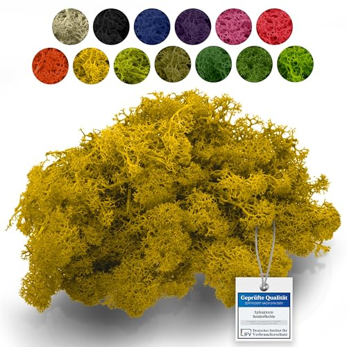 sphagnum-shop.com Vero muschio decorativo, 100 g, giallo, per modellismo, artigianato, muschio islandese, conservato