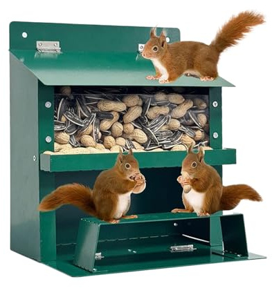 Nybhyjka de Ardillas, de Metal para casa, decoración Resistente a la Intemperie para observación de la Naturaleza, Patio Trasero, alimentación de Animales Salvajes, Patos, Pollos