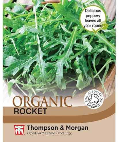 Herb Rocket Cultivated Organic Seeds Eruca vesicaria Salad Rocket Arugula Roquette Hardy Annual Easy to Grow Your Own Garden Vegetable Plants 1x Packet (Approx. 450 Seeds) by Thompson and Morgan