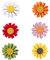 Oenothera 6 Stücke Emaille Anstecknadel, Emaille Blumen Brosche, Daisy Blumen Broschen, Pin Broschees, für Pullover, Schals, Schals, Kleider, Anzüge, Taschen, Rucksäcke