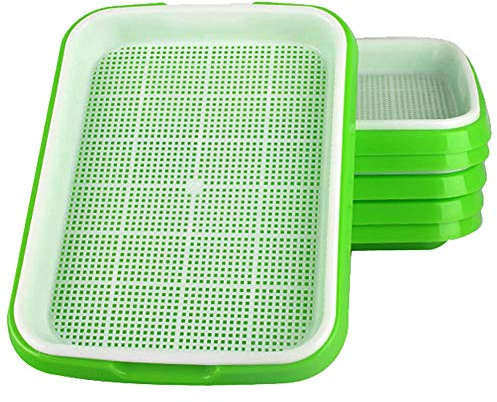 Fuuner 6er Pack Saatgut Keimschale, Sämling Tray Keimschalen Treibhauseffekt Propagator Samen Keimung Hydroponic Seeding Keimung Gewächshaus Tablett für Familiengarten drinnen und draußen