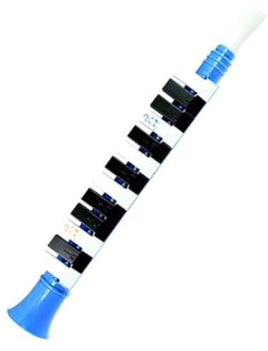 FUNOMOCYA Mélodica pour Garçon Fille Instrument à Touches Mélodica pour Débutants Couleur Aléatoire
