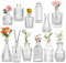 ZgoEC 12pcs Kleine Vasen für Tischdeko, Mini Vasen Set in 12 Muster, Vintage Glasvasen Hochzeitsdeko, Kleine Blumenvasen Tischdekoration, Knospenvase für einen Tafelaufsatz, Tischdeko Geschenk