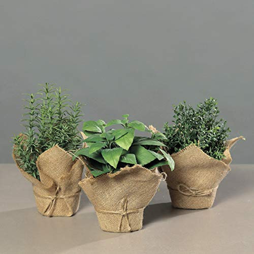 mucplants Künstliches Kräutersortiment im braunen Jutebeutel 3er-Set Höhe 19-22cm Basilikum Rosmarin Thymian Kunstpflanzen