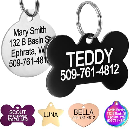 GoTags Pet ID Dog Tag. in Acciaio Inox. Incisione Personalizzata. Include Fino a 8 Righe di Testo Personalizzato con Fronte e Retro Incisione.