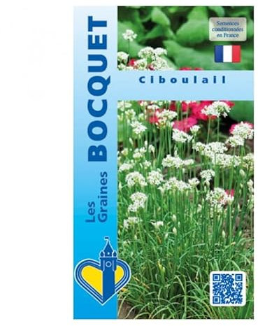 Sachet de graines de Ciboulail - 1 g - LES GRAINES BOCQUET