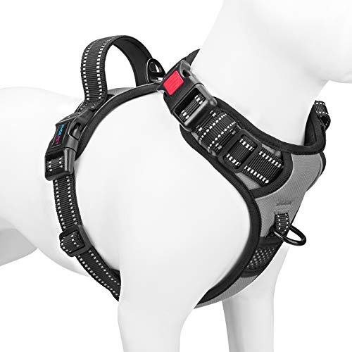 PHOEPET Harnais Anti-Traction pour Chien, réfléchissant, avec Clip Avant, poignée, 2 Anneaux métalliques réglables, 3 Boucles, Facile à Mettre et à enlever, Taille L, Gris