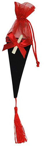 Udo Schmidt GmbH & Co PRÜFUNG Abschluss Studium Prüfungstüte Schultüte zum Befüllen 12 x 5 cm