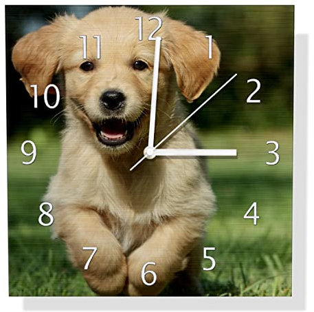 Wallario Design Wanduhr Süßer Hund - Golden Retriever aus Aluverbund, Alu-Uhr Größe 30 x 30 cm, weiße Zeiger mit Metalloptik