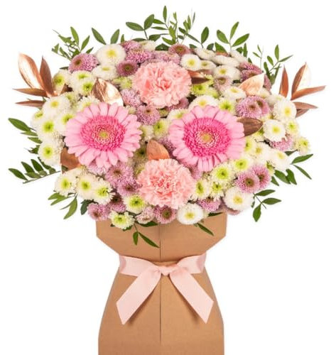Blushing Elegance Fresh Flower Bouquet Delivered in Presentation Vase | Solidago, Pink Germini & Seasonal Greenery | Natural Card Vase and Pink Ribbon Ribbon | AMFL010