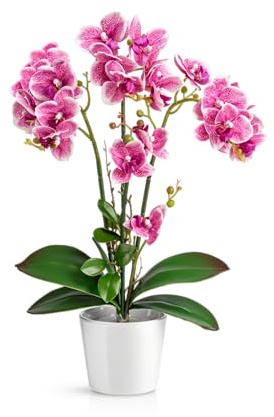PASCH® Orchidee artificiali in vasi di ceramica lucida (46 cm), fiori artificiali come reali, fiori artificiali in vaso (bianco-rosa)