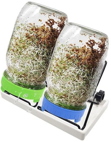 Generisch Lot de 2 verres à pour germination en verre à avec 1 bol d'eau, 2 couvercles de grille filtrante en acier inoxydable 304 et 2 supports, 1000 ml, calibre 86 mm