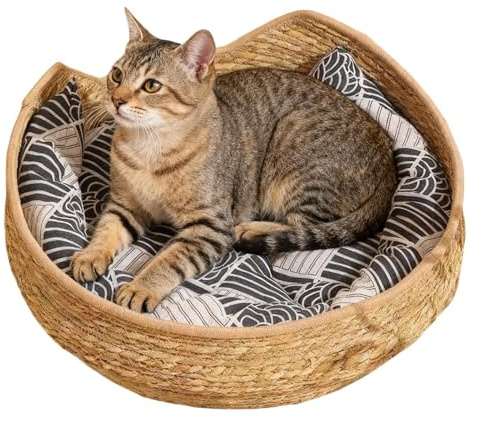 Korg För Katt Leksaker Vävda och Tvättbara Kattillbehör med och | Inomhus Katt Hus för Inomhus Vinter Bil Camping Skrivbord Vid Sängen Stol Sofa Rum Skydd Inomhus Utomhus Vinter