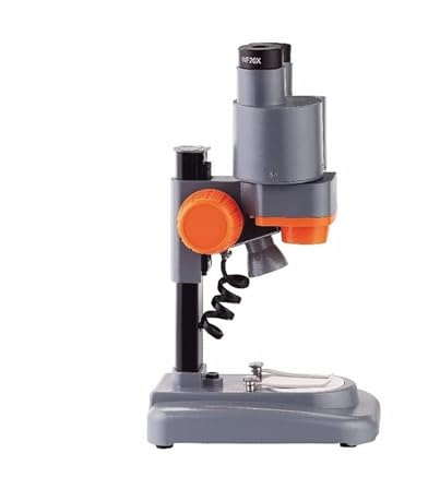 microscopio Microscopio for bambini, microscopio stereoscopico portatile binoculare 40X, for la visualizzazione di campioni minerali, educazione scientifica for bambini digitale