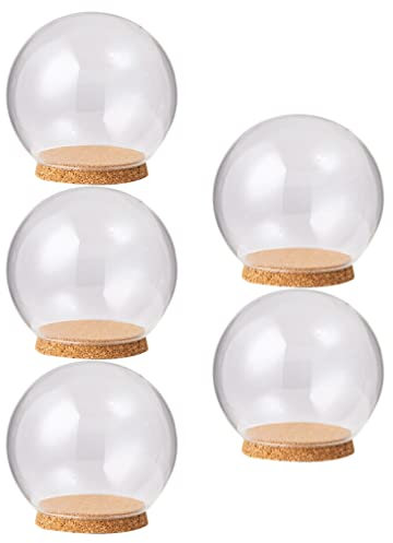 EXCEART Cloche en Verre avec Base en Bois : 5 PièCes DéCoratives en Verre, Vitrine en Transparent pour Plantes, MéDailles, Photos Et Objets De Collection